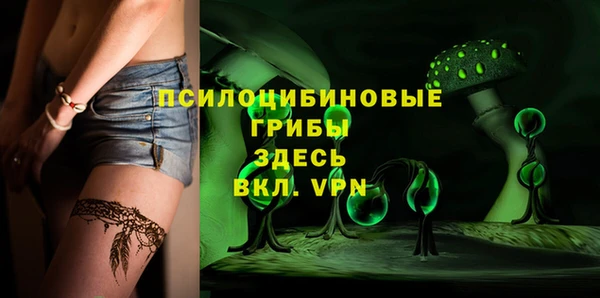 трава Осинники
