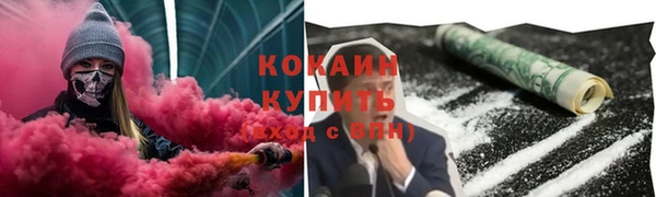 трава Осинники