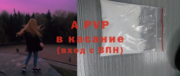 гашик Осташков