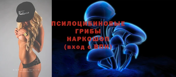гашик Осташков