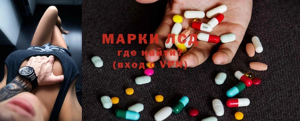 трава Осинники