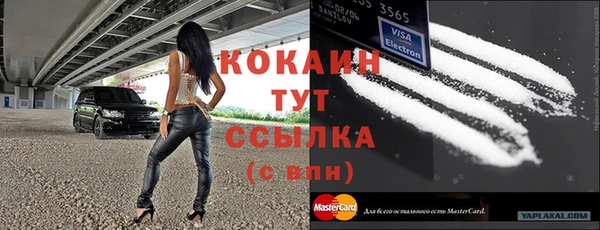 гашик Осташков