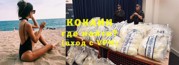 трава Осинники