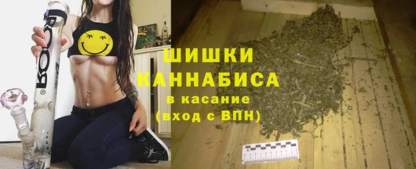 трава Осинники